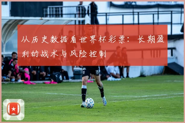 从历史数据看世界杯彩票：长期盈利的战术与风险控制