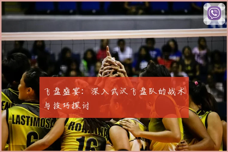 飞盘盛宴：深入武汉飞盘队的战术与技巧探讨