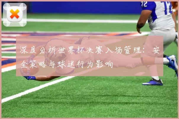深度分析世界杯决赛入场管理：安全策略与球迷行为影响