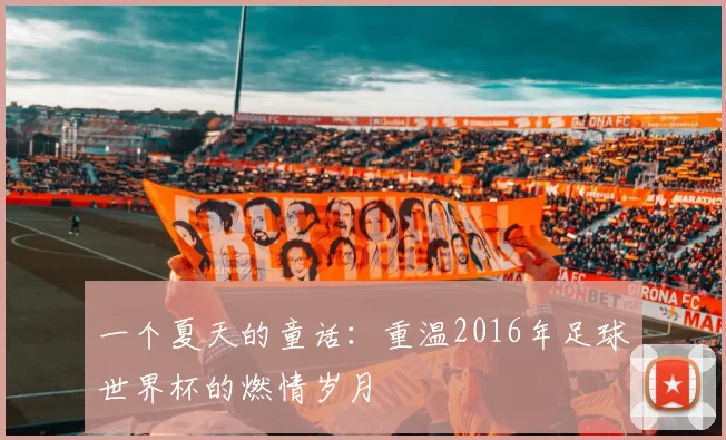 一个夏天的童话:重温2016年足球世界杯的燃情岁月