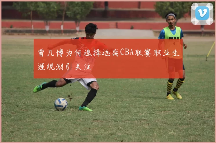 曾凡博为何选择远离CBA联赛职业生涯规划引关注