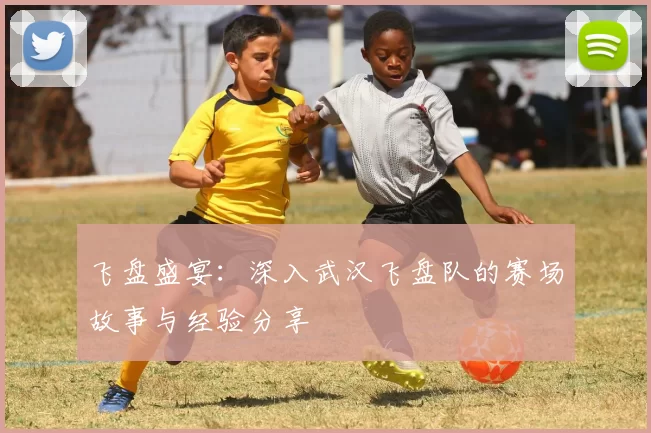 飞盘盛宴：深入武汉飞盘队的赛场故事与经验分享