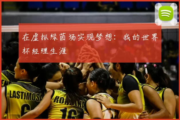 在虚拟绿茵场实现梦想：我的世界杯经理生涯