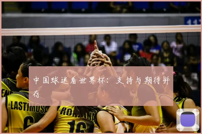中国球迷看世界杯:支持与期待并存