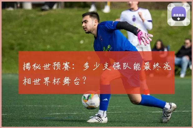 揭秘世预赛：多少支强队能最终亮相世界杯舞台？