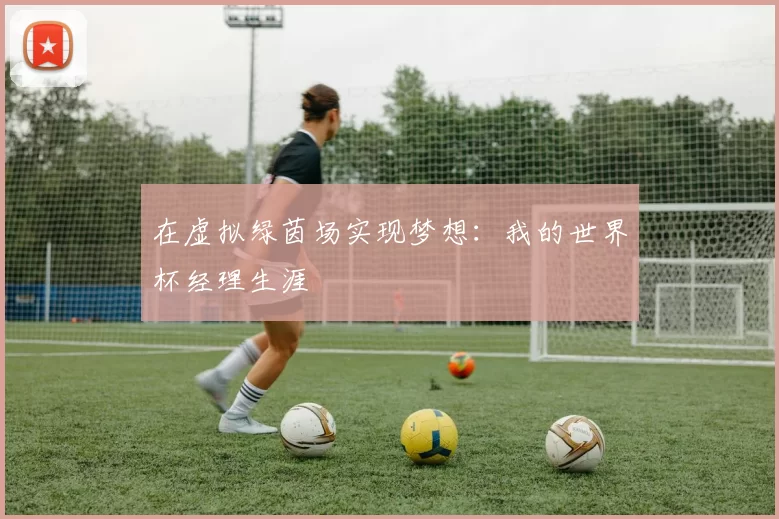 在虚拟绿茵场实现梦想：我的世界杯经理生涯