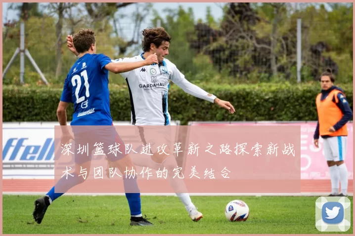 深圳篮球队进攻革新之路探索新战术与团队协作的完美结合