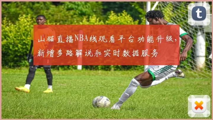 山猫直播NBA线观看平台功能升级，新增多路解说和实时数据服务
